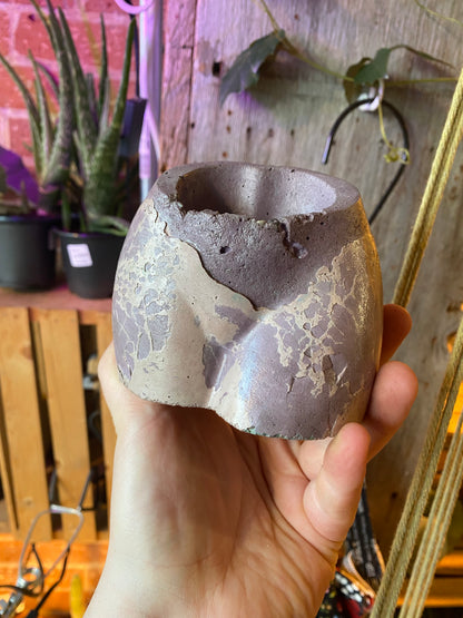2.5" Concrete Butt Purple w Pink Webbing