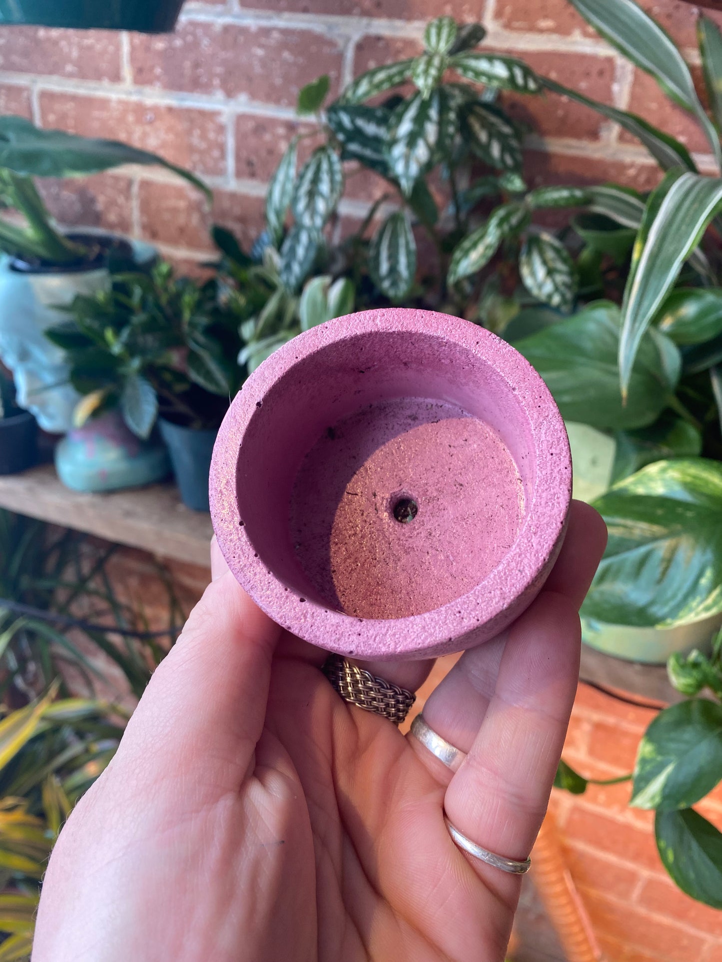 2.5” circle concrete pot