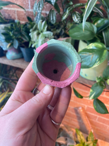 Octagon 2.5” concrete planter