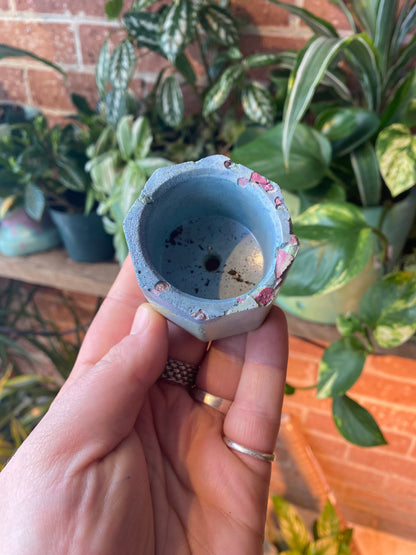 Octagon 2.5” concrete planter