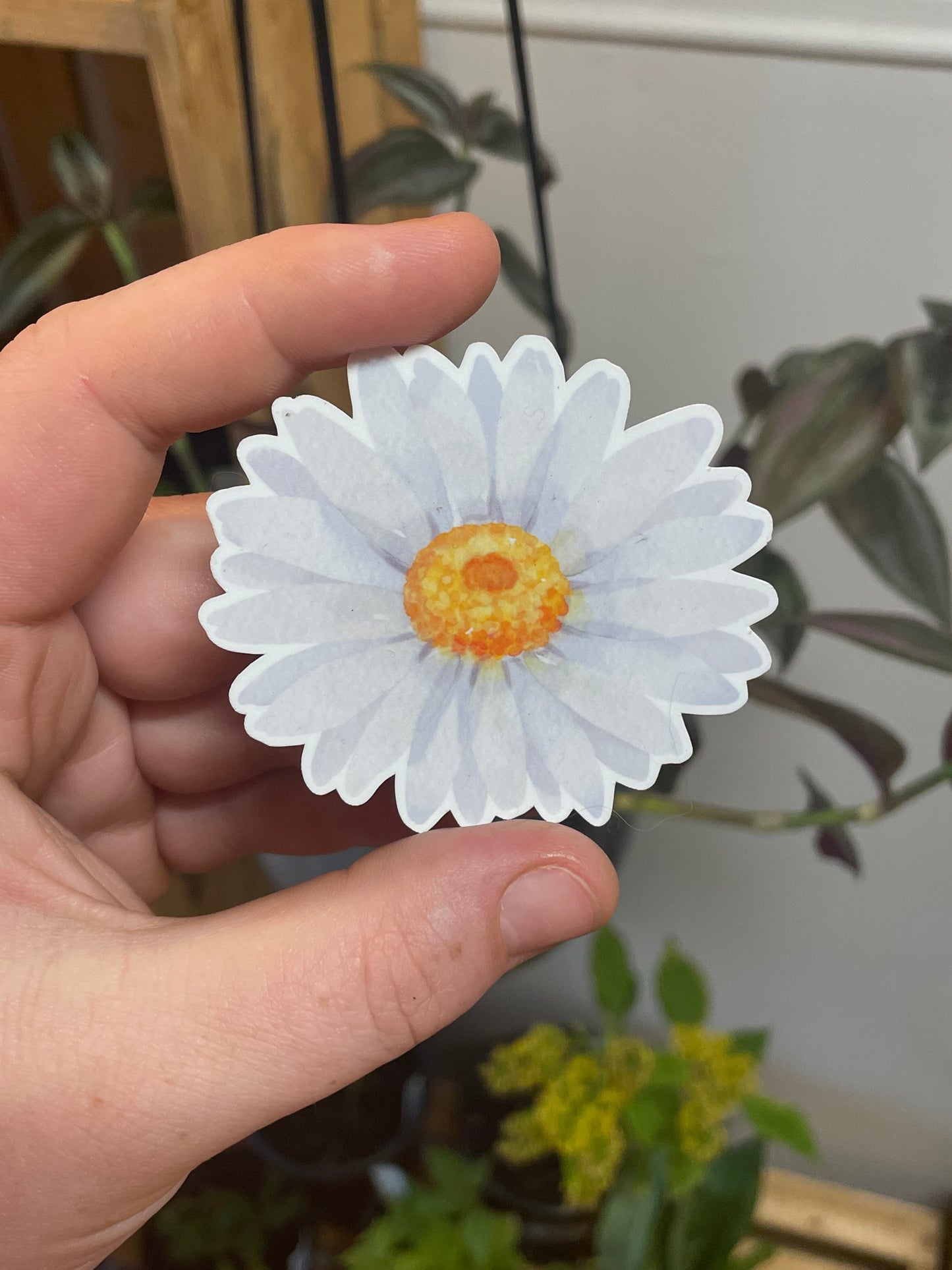 Daisy Sticker