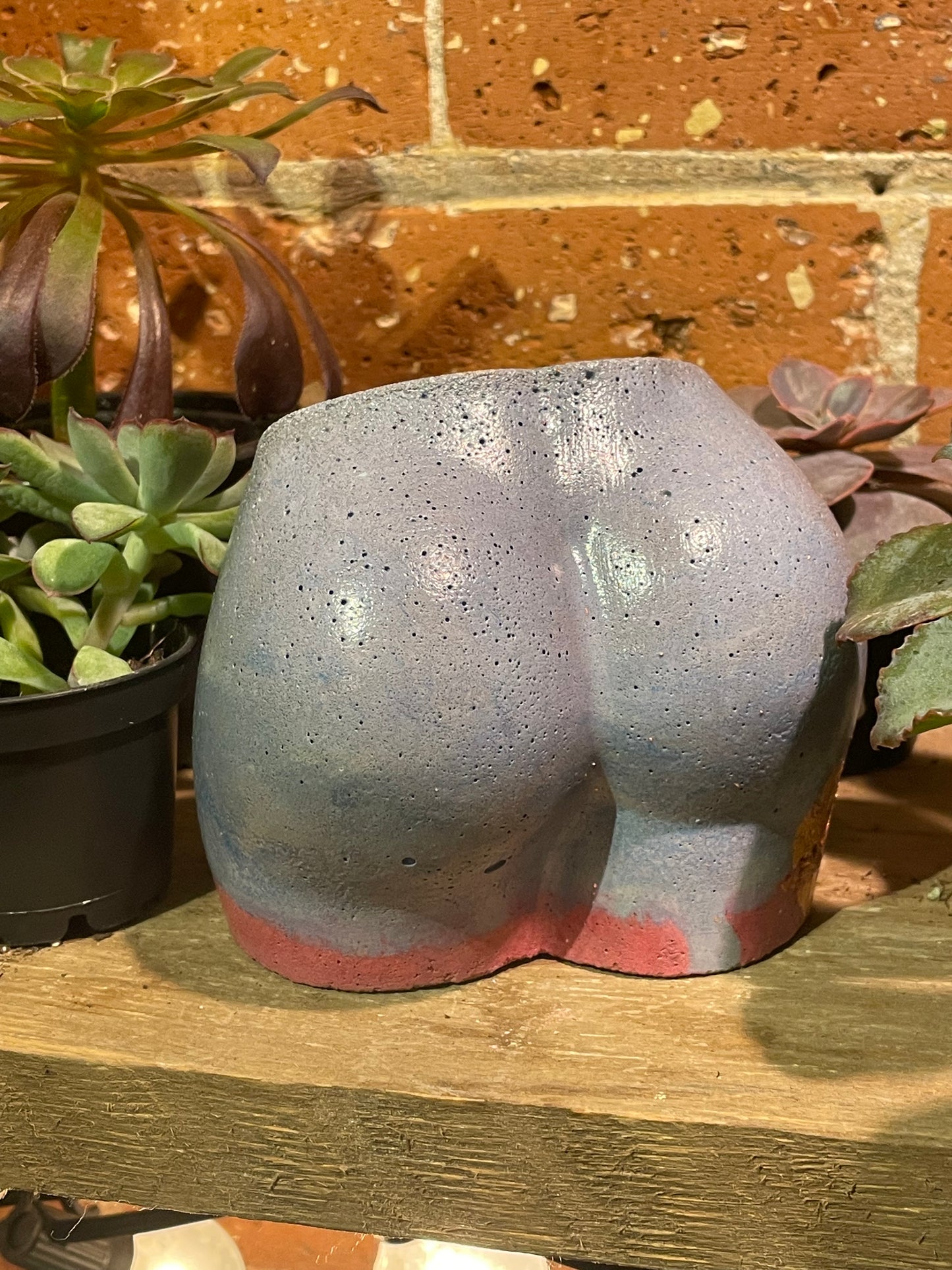 2.5" Concrete Butt Pot Cherry/Blue w/ Gold