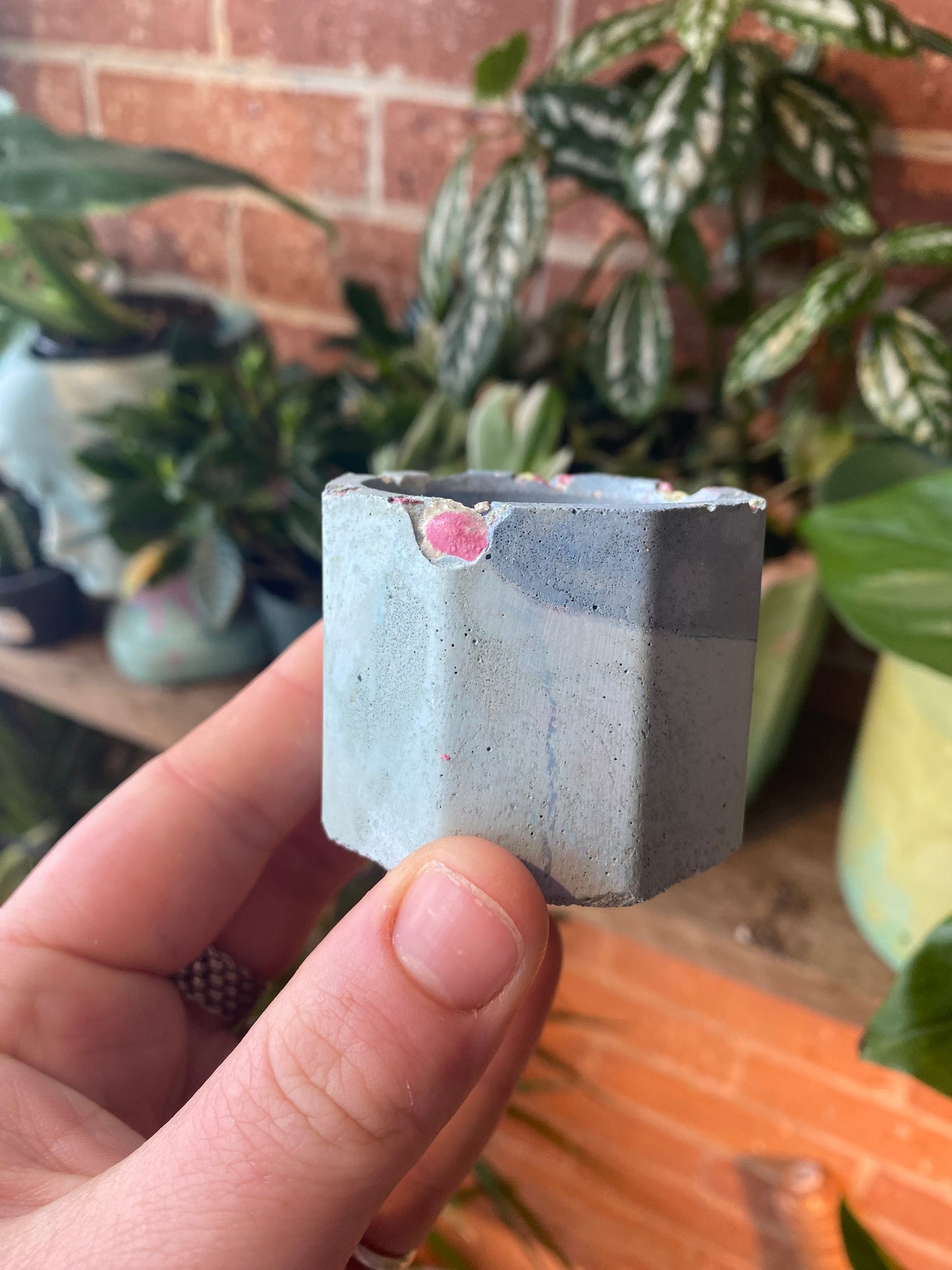 Octagon 2.5” concrete planter