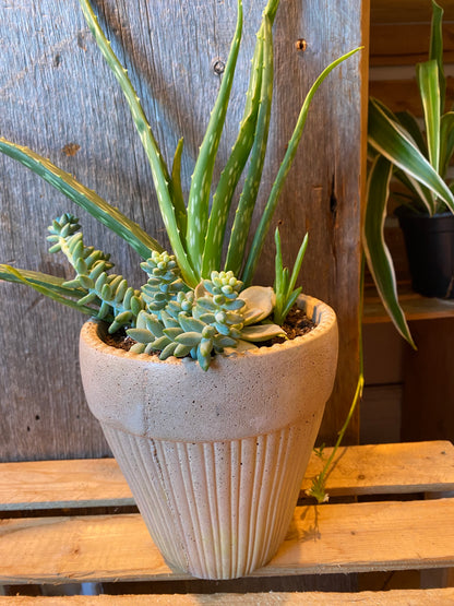 Grab n Go Planter 5” Beige