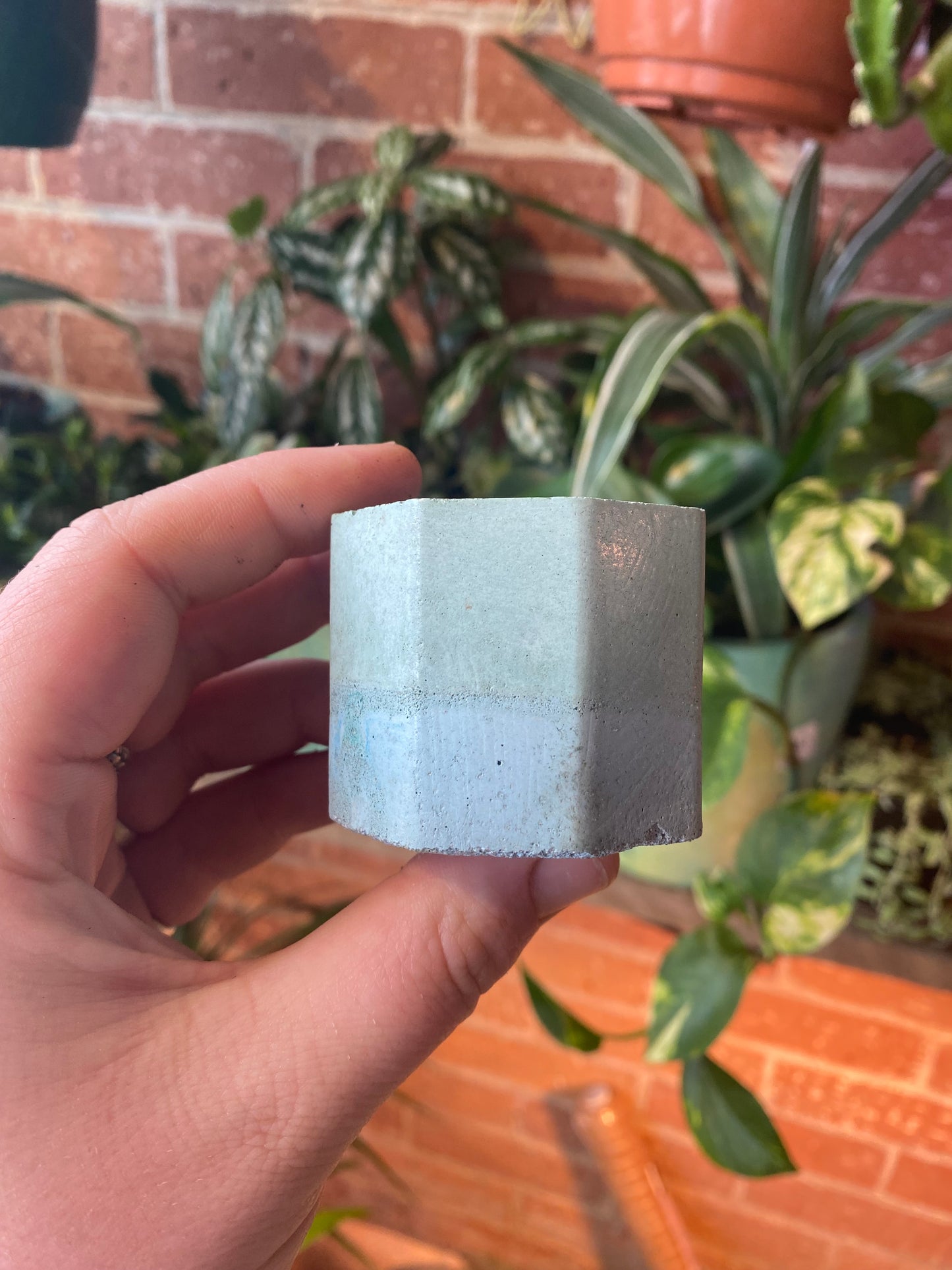Octagon 2.5” concrete planter