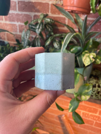 Octagon 2.5” concrete planter
