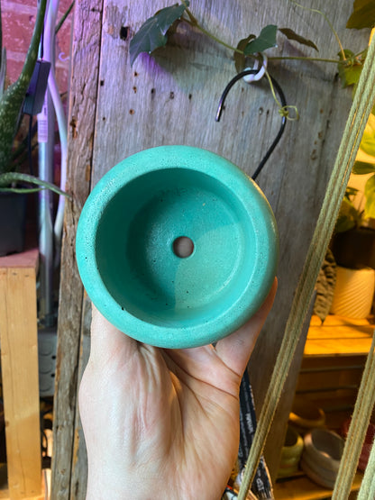 3.5" Concrete Bubble Pot Teal