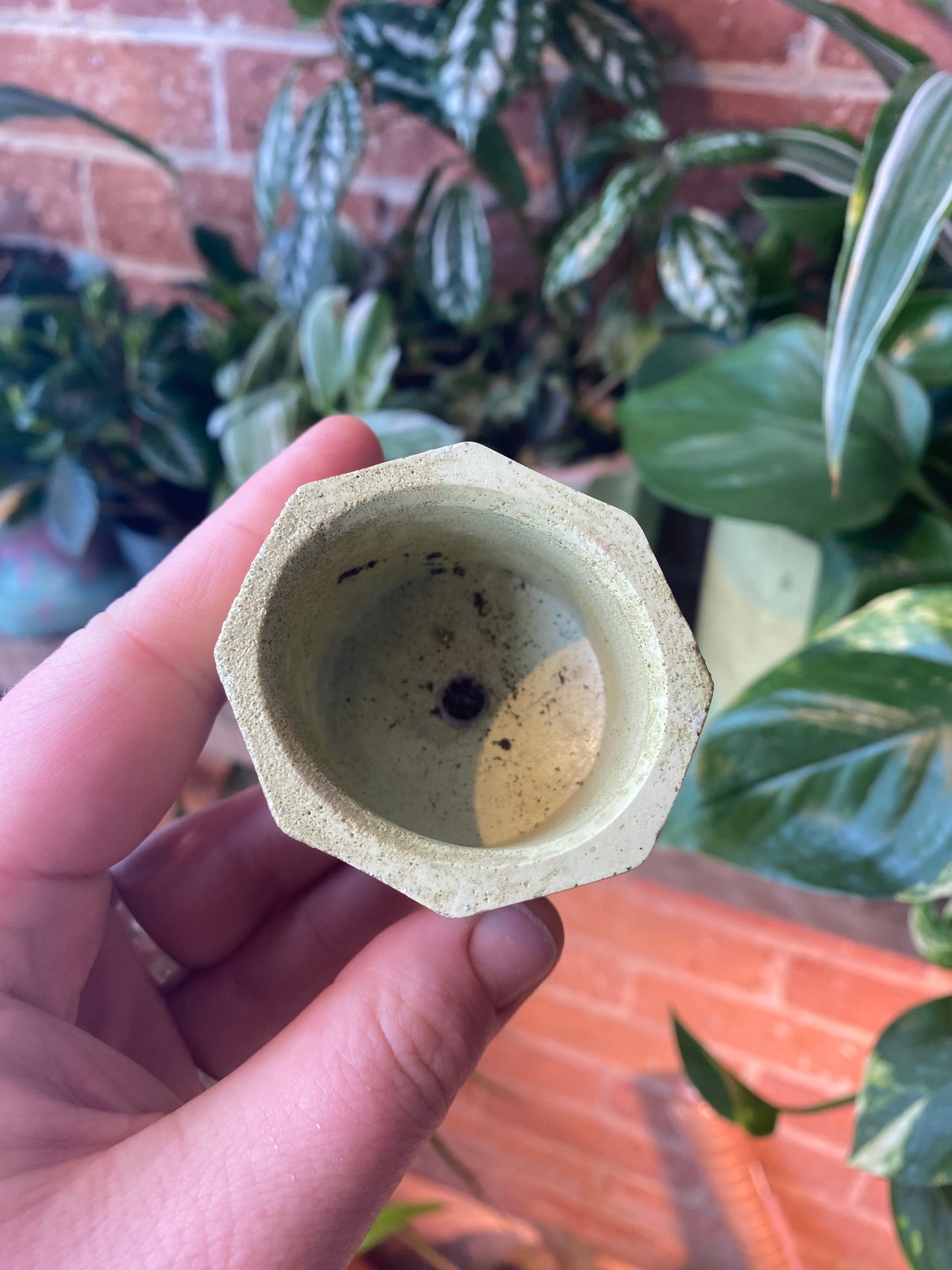 Octagon 2.5” concrete planter