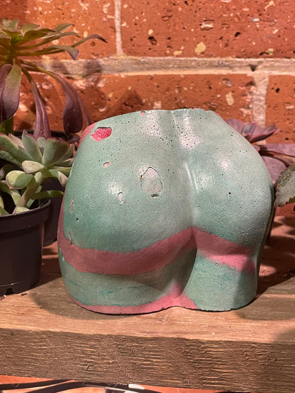 2.5" Concrete Butt Pot Cherry/Teal