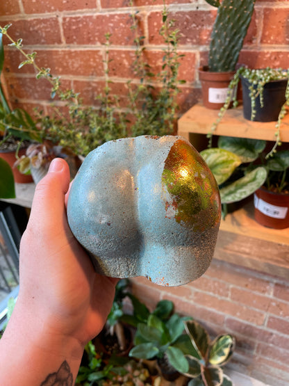 2.5" Concrete Butt Pot Blue/Gold