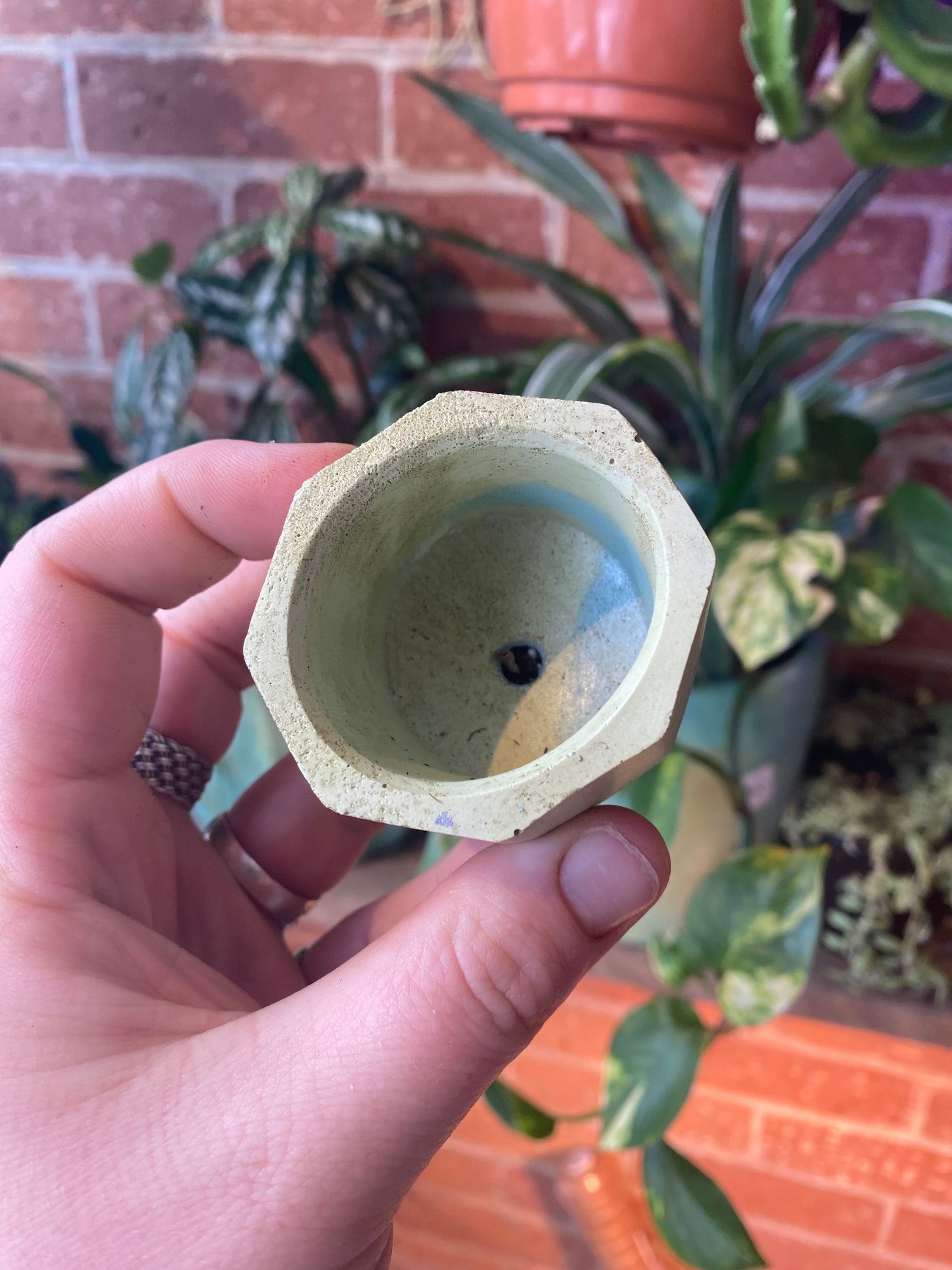 Octagon 2.5” concrete planter
