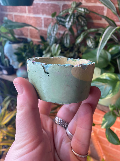 2.5” circle concrete pot
