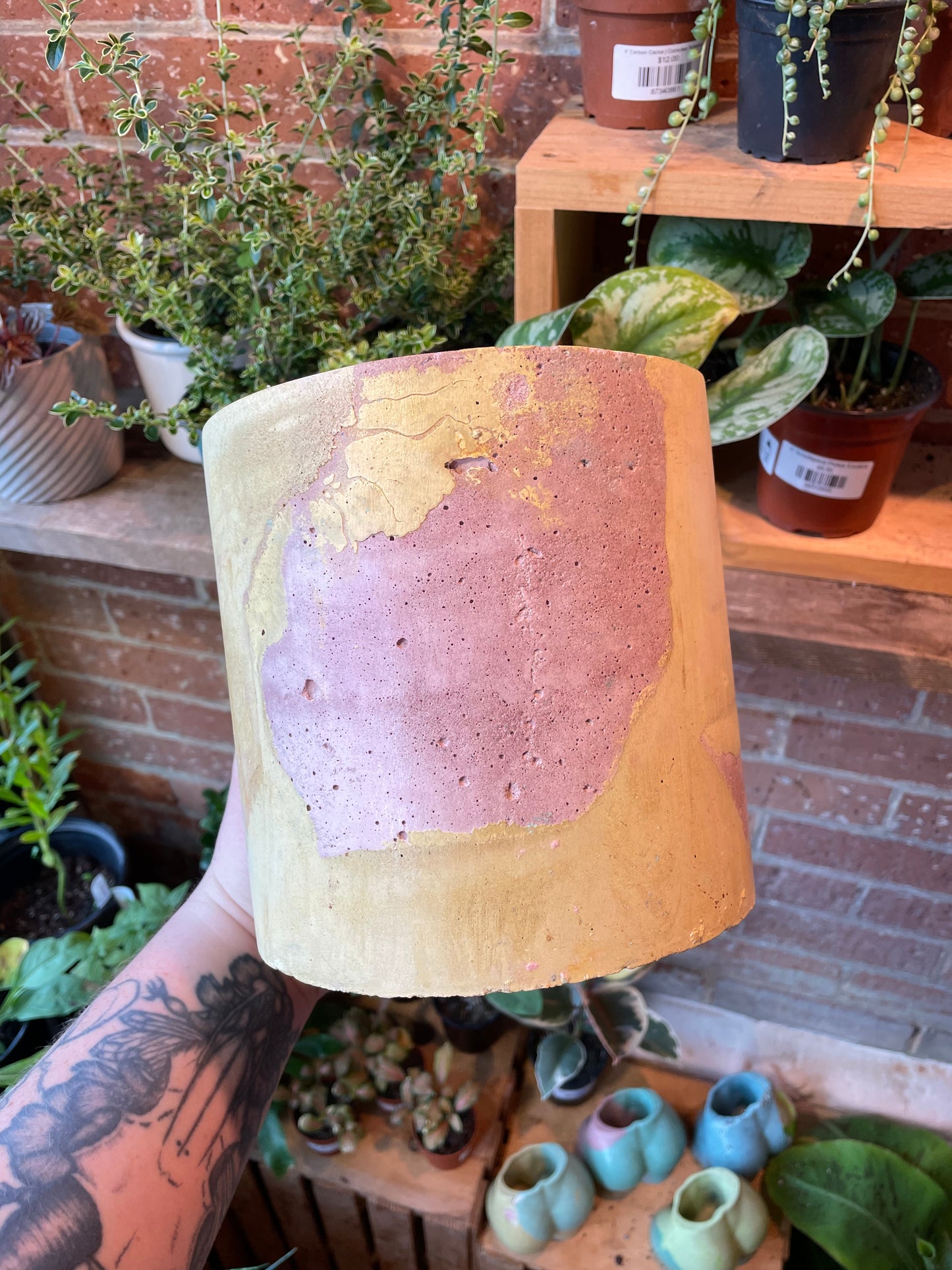 6" Concrete Pot Purple/Yellow