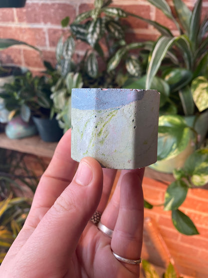 Octagon 2.5” concrete planter