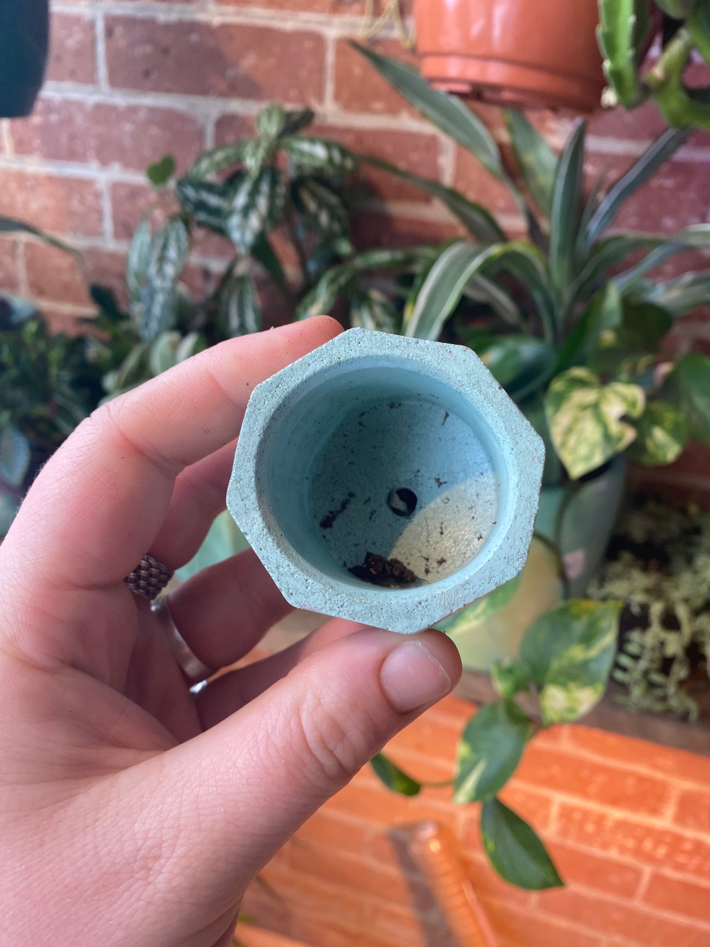 Octagon 2.5” concrete planter
