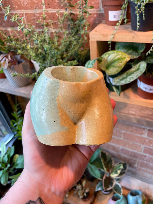 2.5" Concrete Butt Pot Yellow/Green