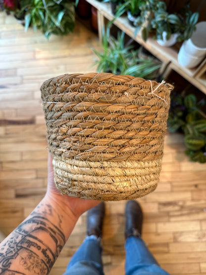 6" Casey Basket | Natural