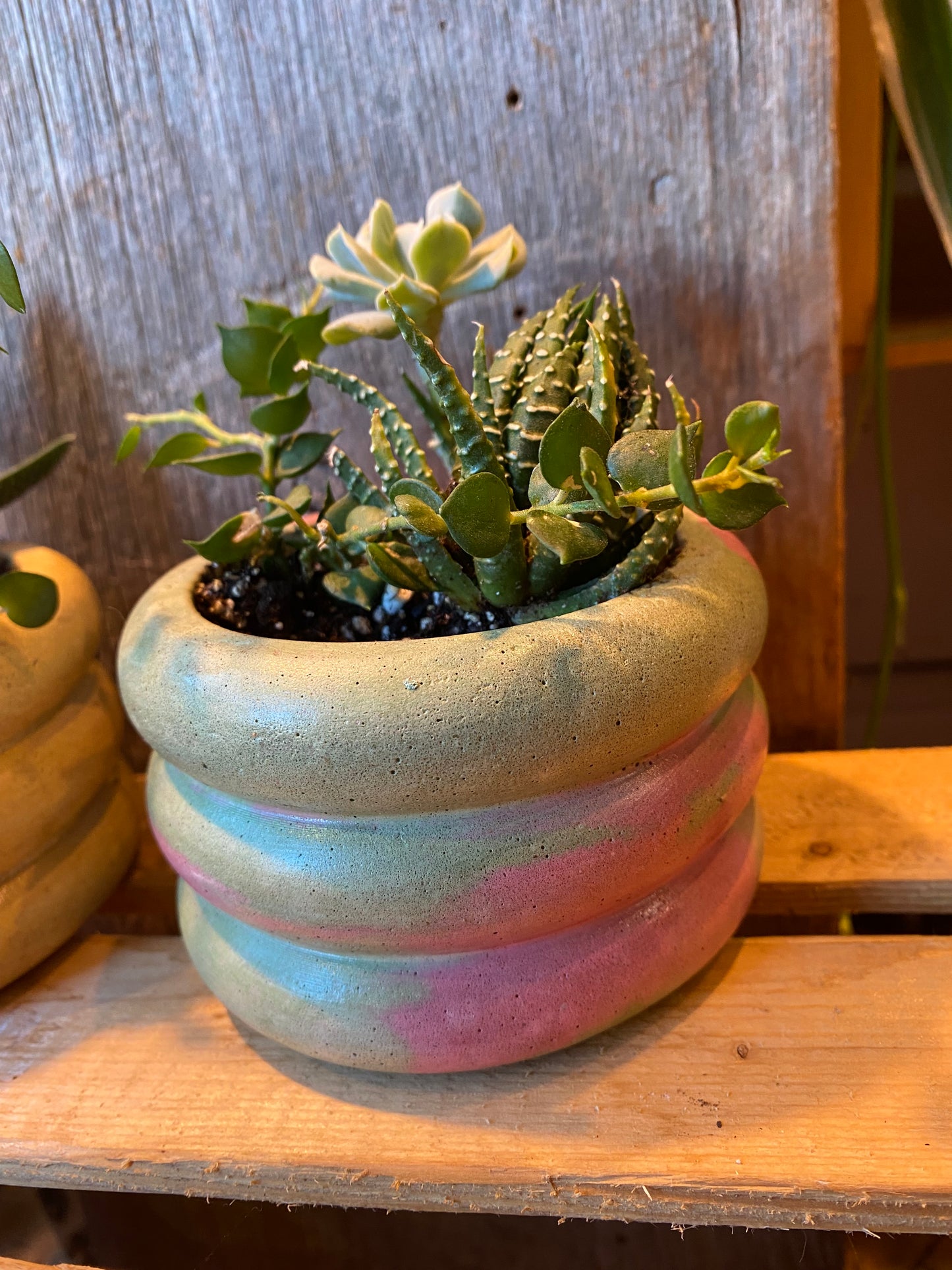Mini Grab n Go Planter 3.5” Pink and Green