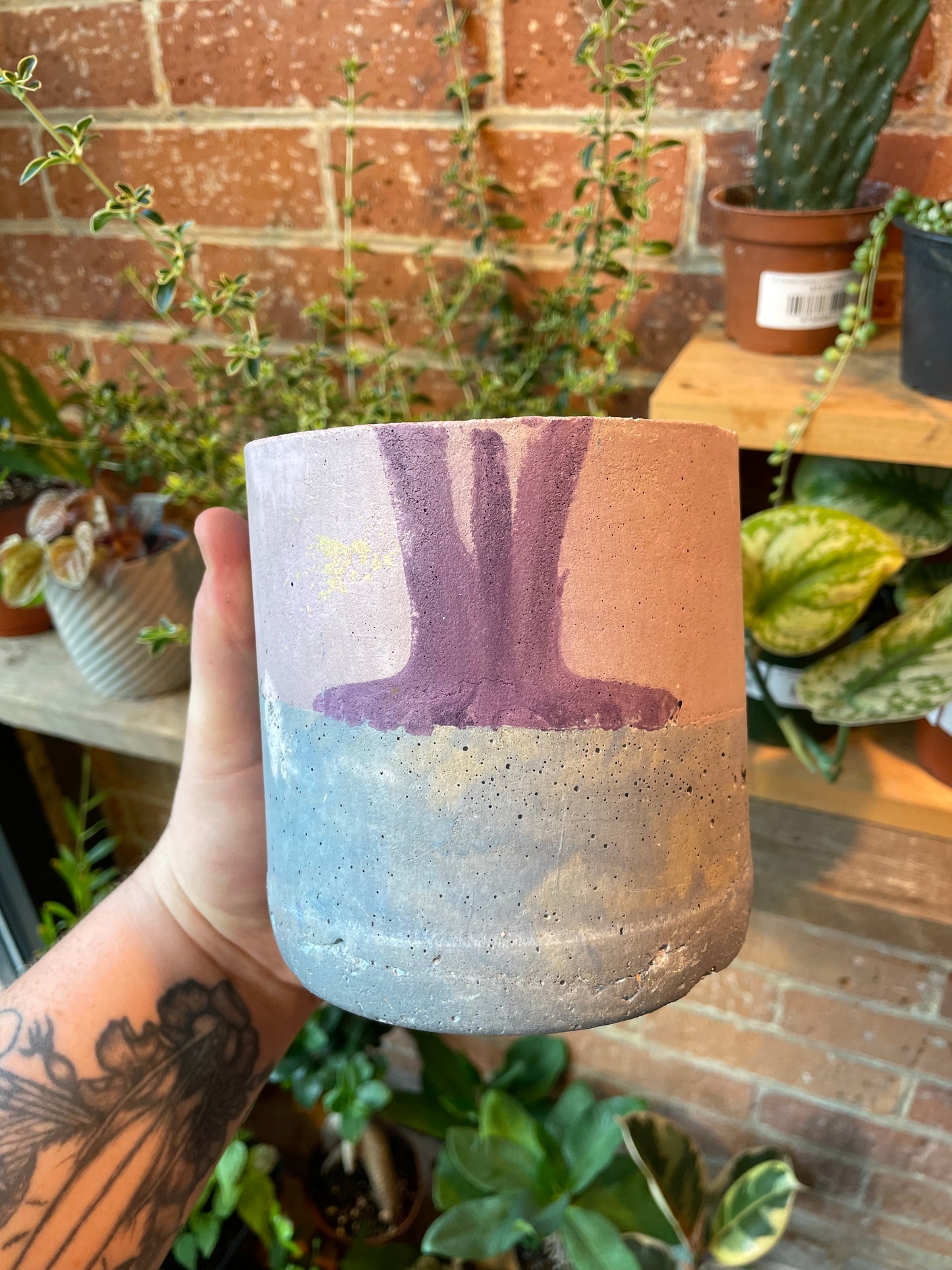 4" Concrete Pot Blue/Pink/Purple