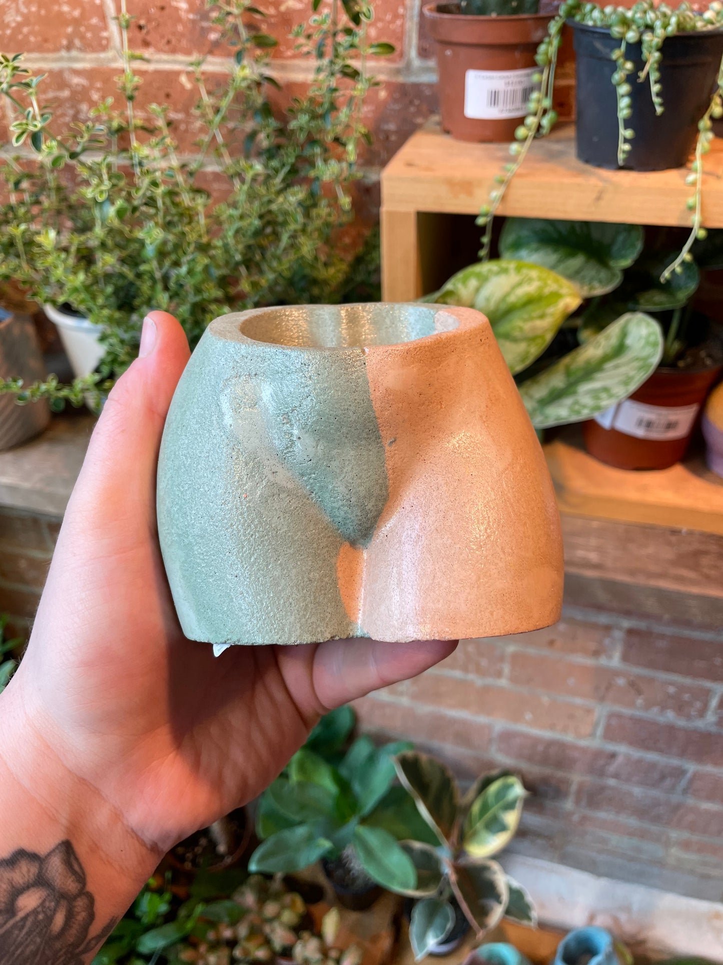 2.5" Concrete Butt Pot Peach/Green