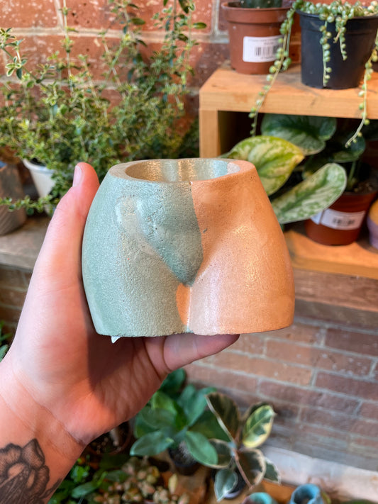 2.5" Concrete Butt Pot Peach/Green