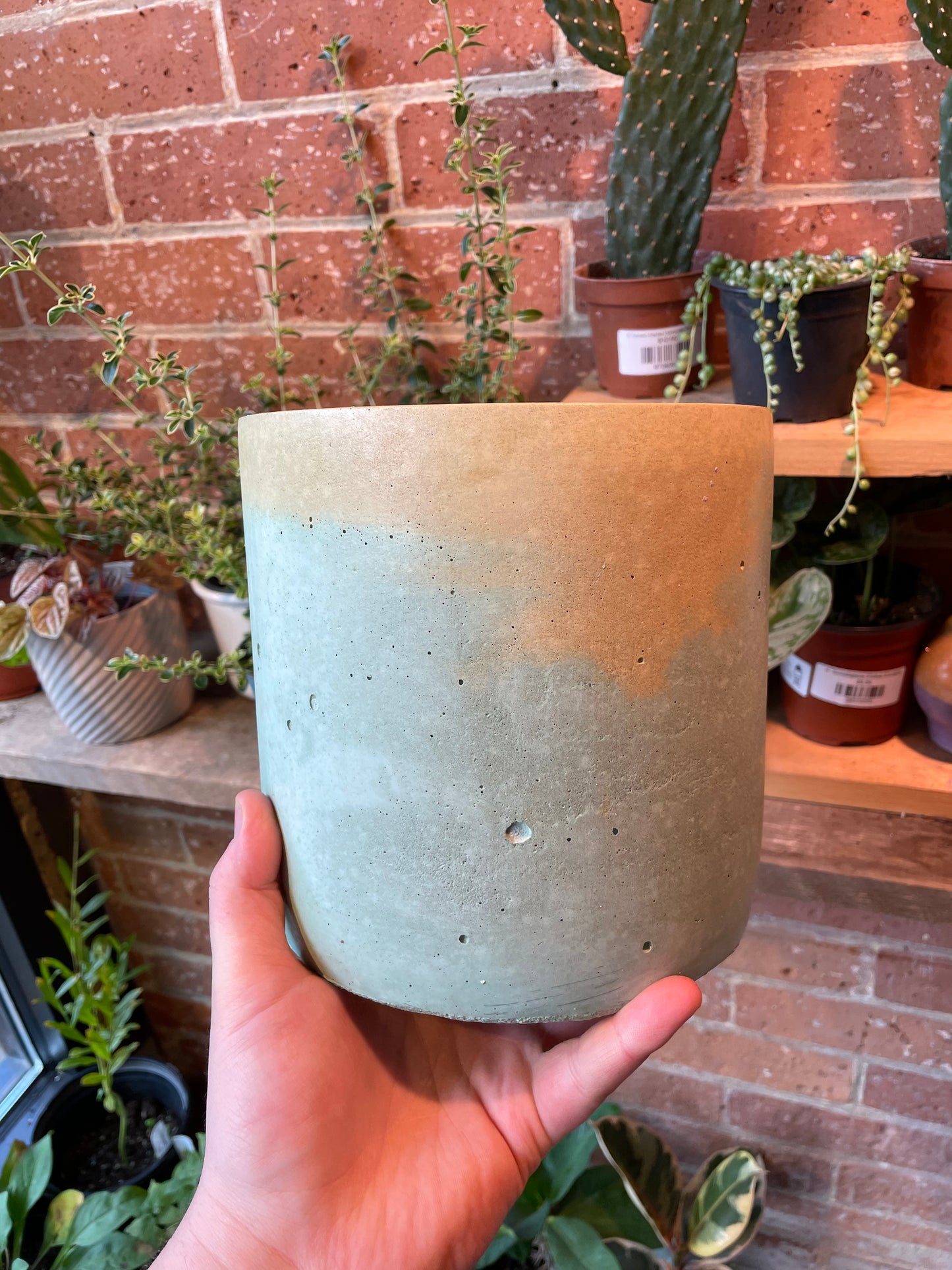 6" Concrete Pot Yellow/Green