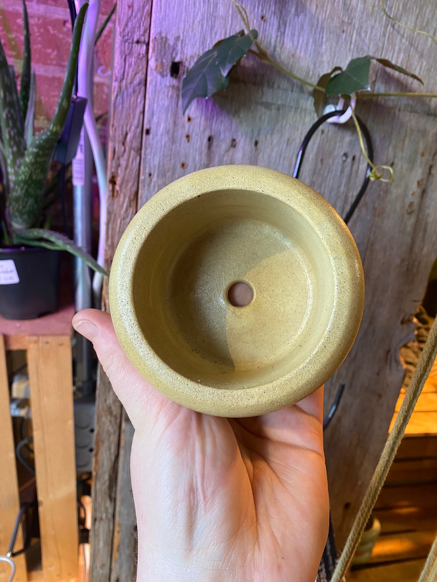 3.5” Yellow bubble concrete pot