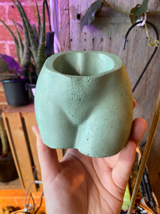 2.5" Concrete Butt Green w Pink Bottom
