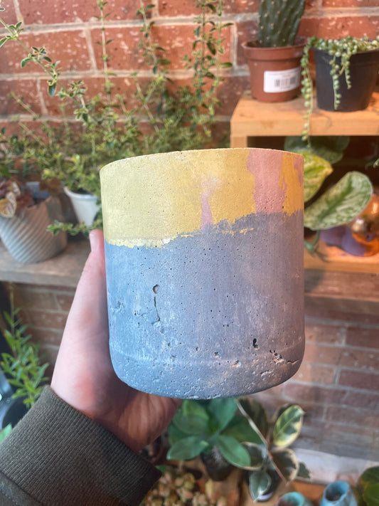 4" Concrete Pot Blue/Yellow/Purple