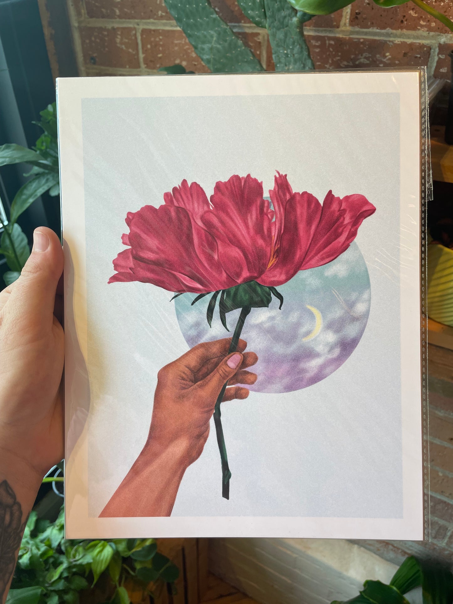 Peony Art Print 8.5"x11"