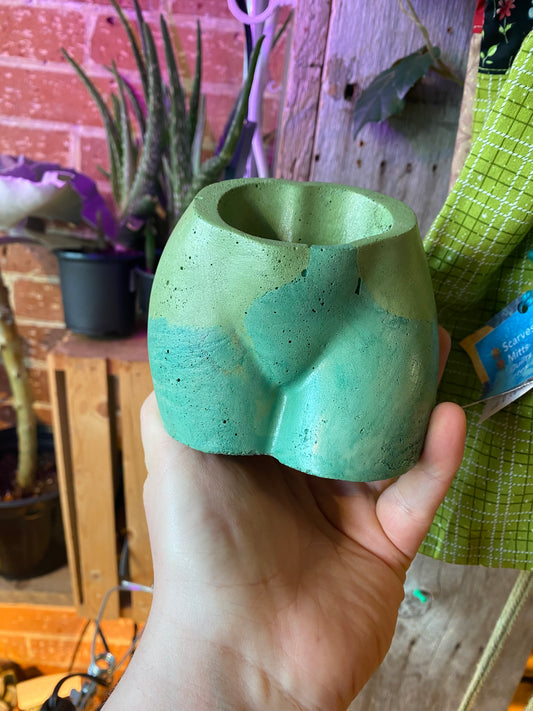 2.5" Concrete Butt Green/Blue
