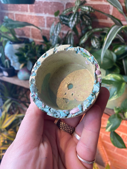 2.5” circle concrete pot