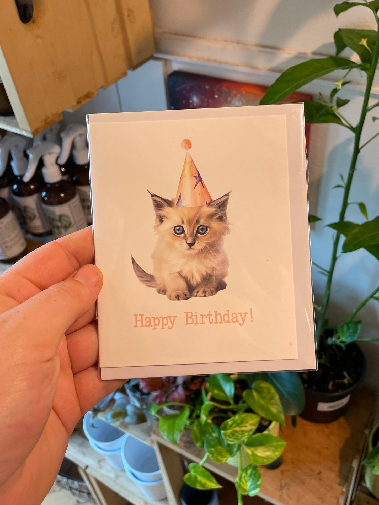 Kitty Birthday