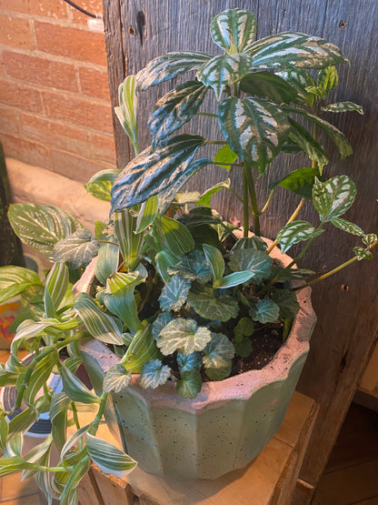 Grab n Go Planter 8” Pink/Green