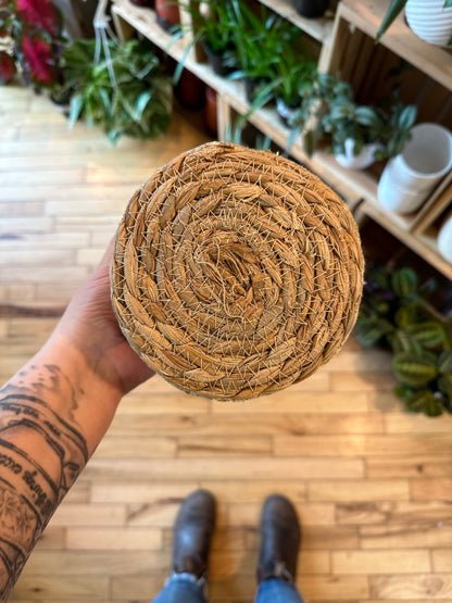 6" Casey Basket | Natural