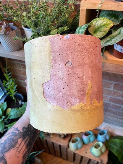 6" Concrete Pot Purple/Yellow