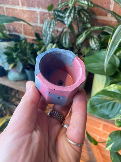 Octagon 2.5” concrete planter
