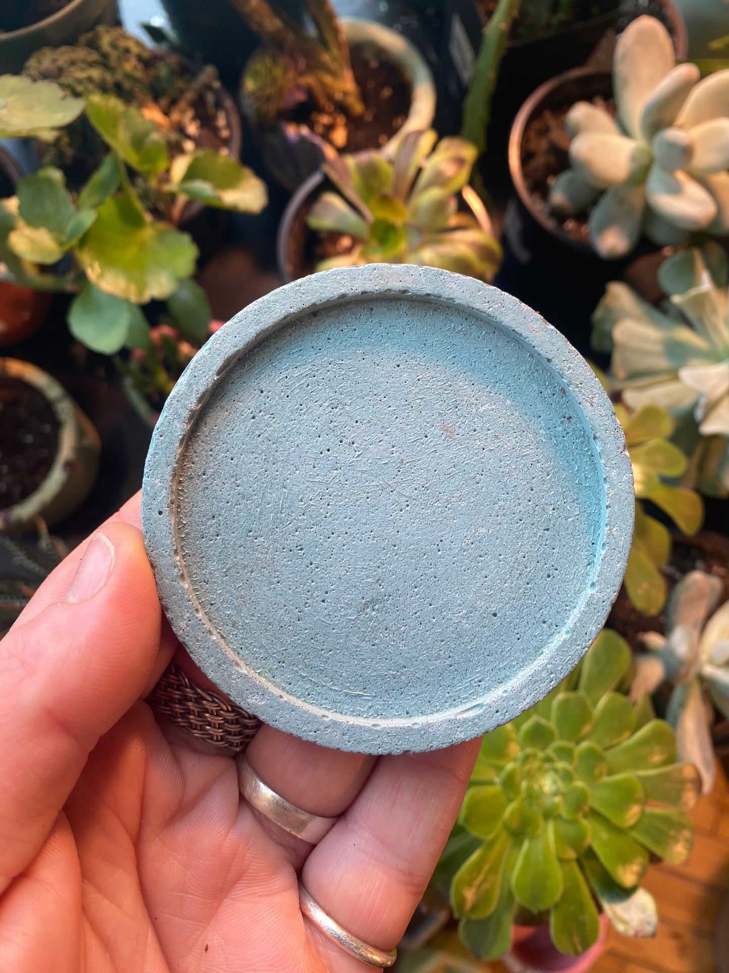 Round Concrete Tray
