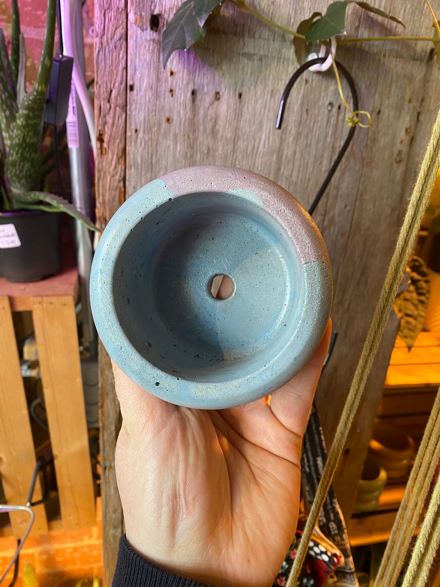 3.5" Concrete Bubble Purple/Blue