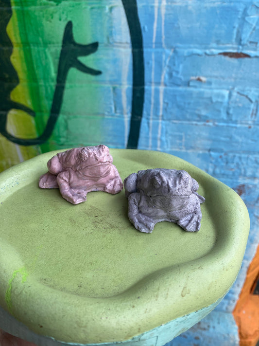 Concrete Toad