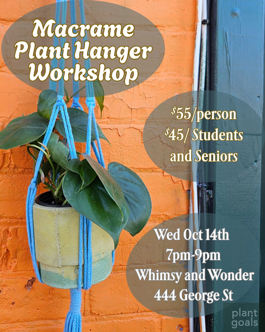 Macrame Plant Hanger Workshop