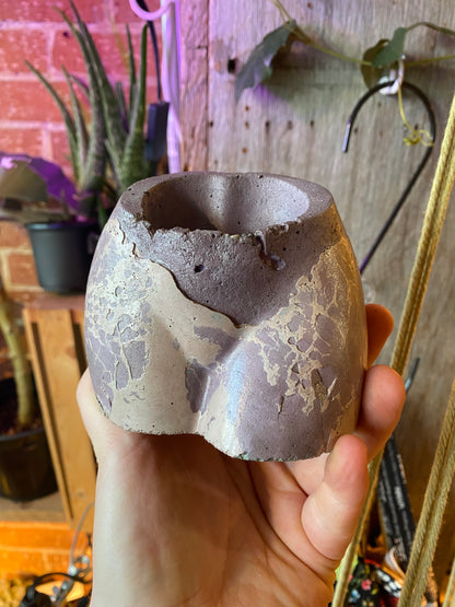 2.5" Concrete Butt Purple w Pink Webbing
