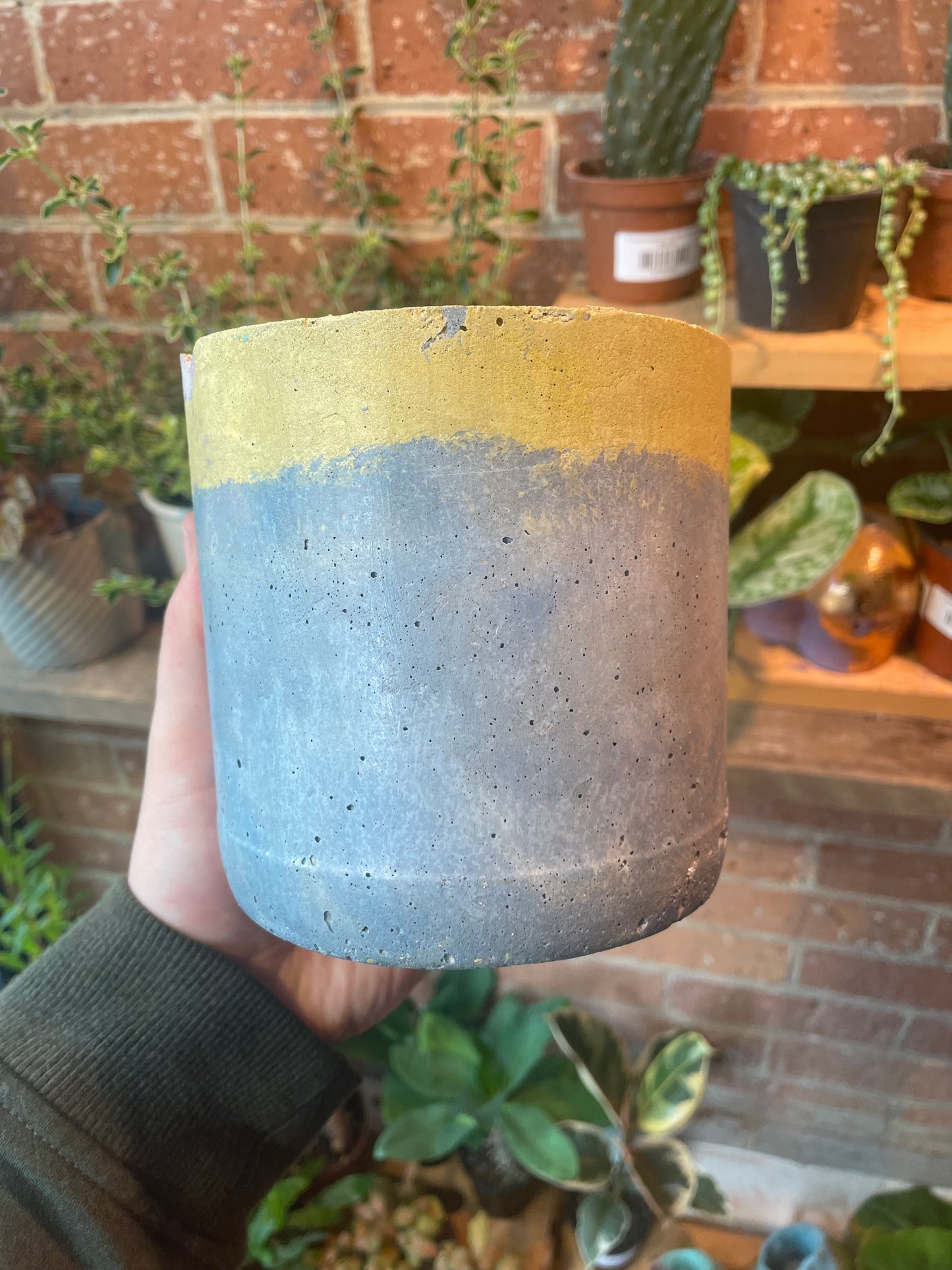 4" Concrete Pot Blue/Yellow/Purple