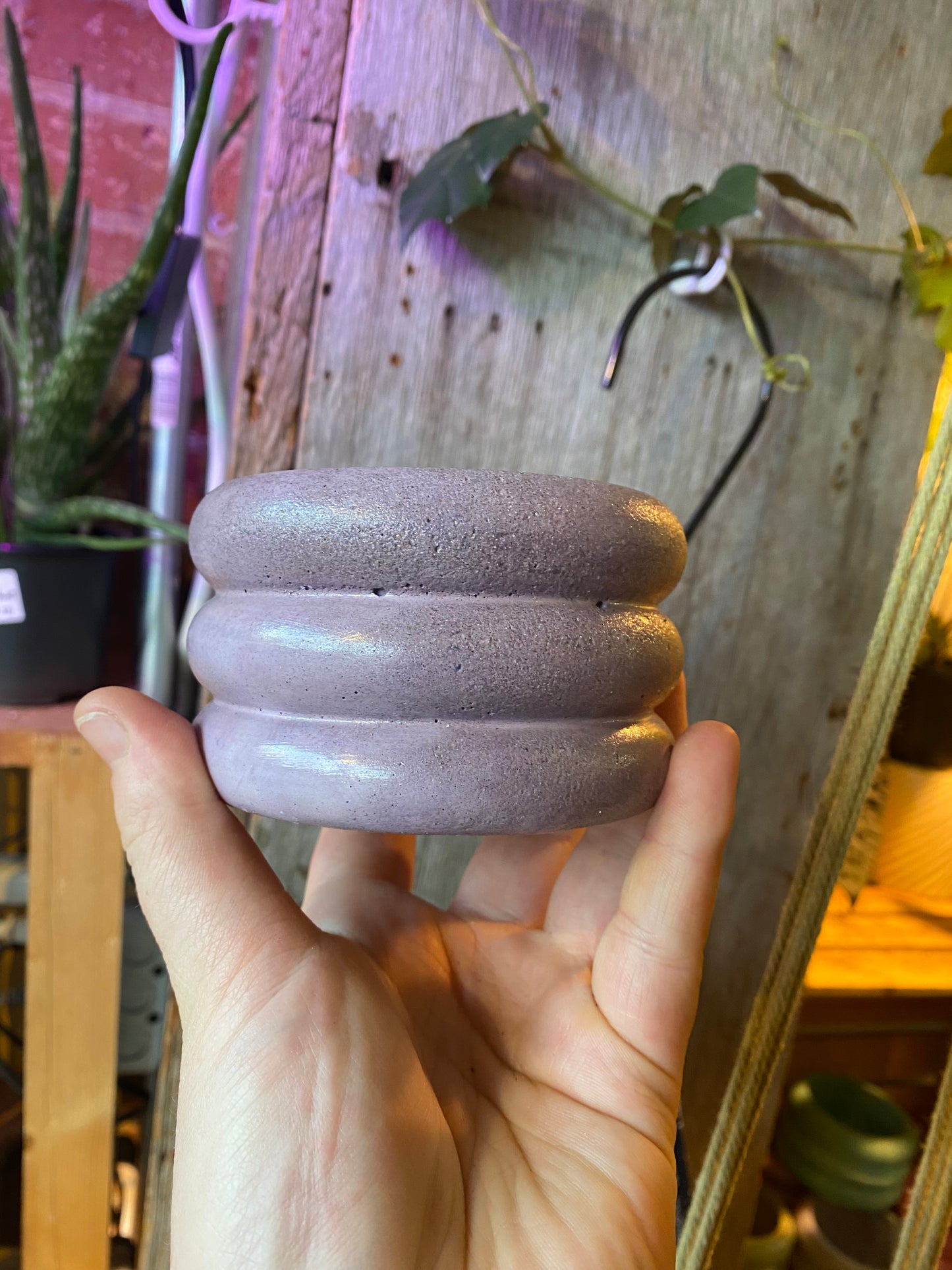 3.5" Concrete Bubble Purple