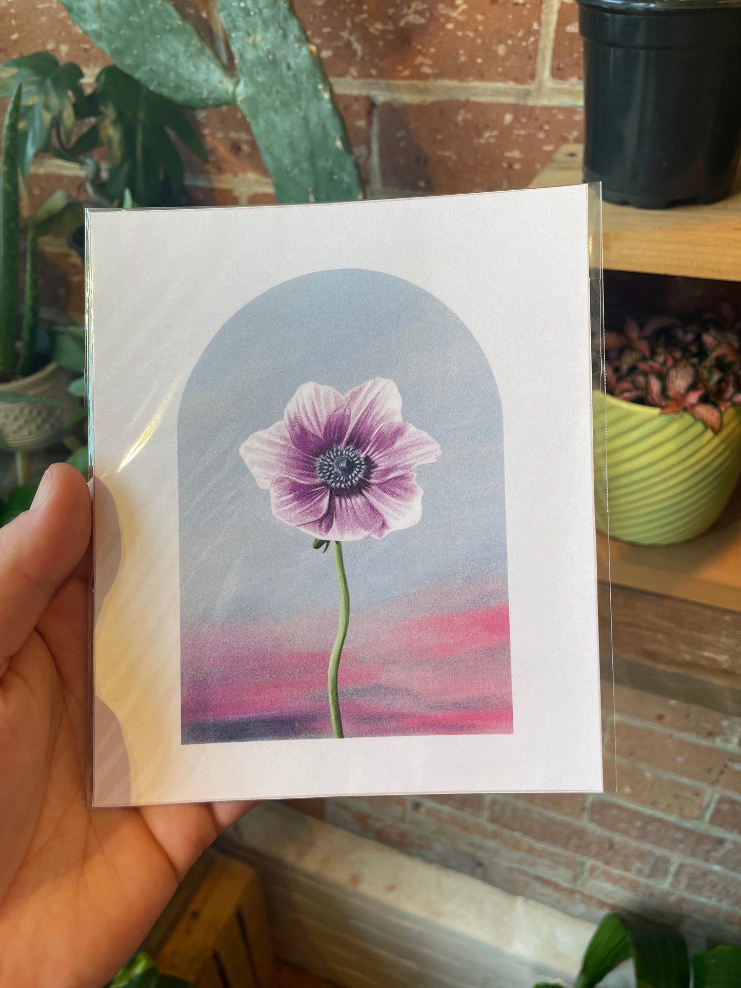 Purple Anemone Art Print 5.25"x6"