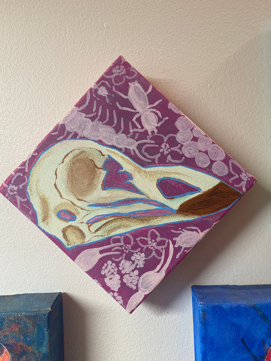 6x6 Peacock Skull