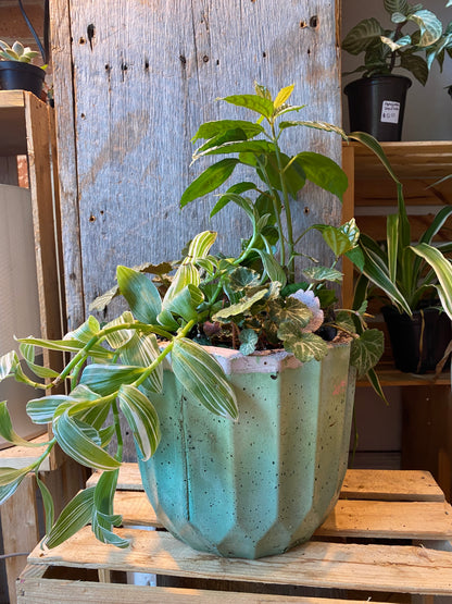 Grab n Go Planter 8” Pink/Green