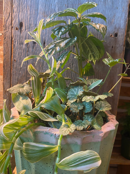 Grab n Go Planter 8” Pink/Green