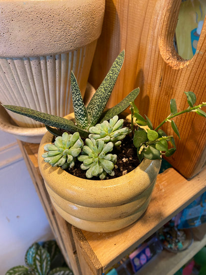 Mini Grab n Go Planter 3.5” Yellow