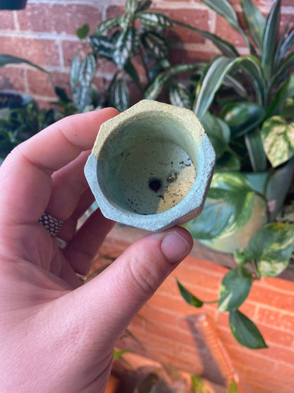 Octagon 2.5” concrete planter